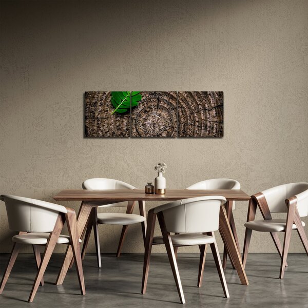 Obraz listu na kmeni stromu (s hodinami) (90x30 cm)