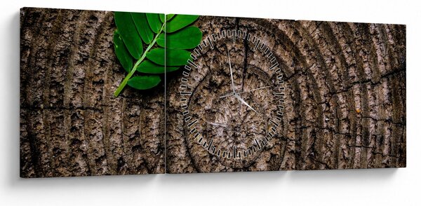 Obraz listu na kmeni stromu (s hodinami) (90x30 cm)