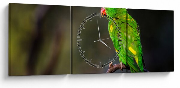 Obraz papouška na větvi (s hodinami) (90x30 cm)