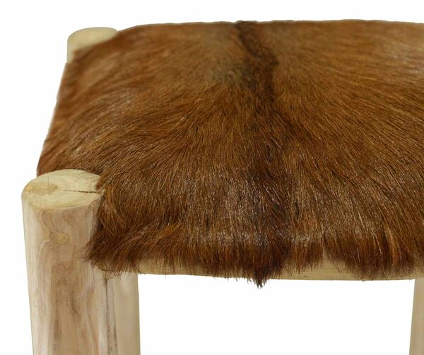 Barová stolička kozí kůže a masivní teak 244544