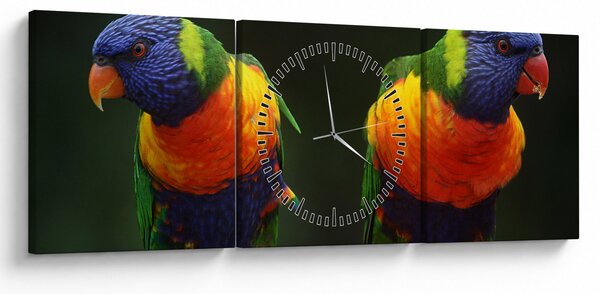 Obraz papoušků (s hodinami) (90x30 cm)