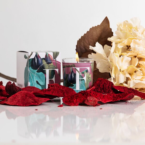 Pernici Elementi - Fig Leaves & Ivy Vonná svíčka, 70 g