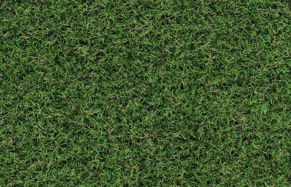 Sintelon Prado zelený (umělá tráva)