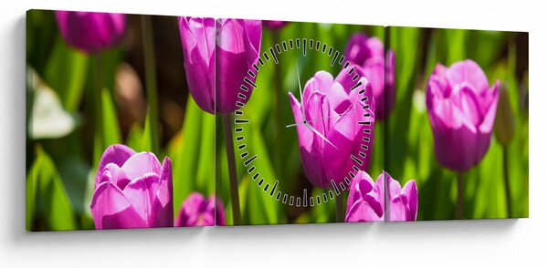 Obraz tulipánů na louce (s hodinami) (90x30 cm)