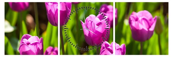 Obraz tulipánů na louce (s hodinami) (90x30 cm)