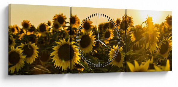 Obraz slunečnicového pole (s hodinami) (90x30 cm)