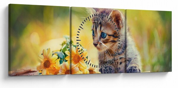Obraz koťátka dívající se na květinu (s hodinami) (90x30 cm)