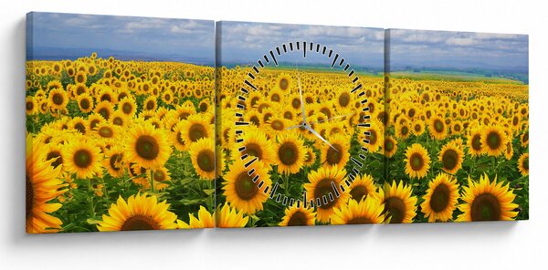 Obraz slunečnicového pole (s hodinami) (90x30 cm)