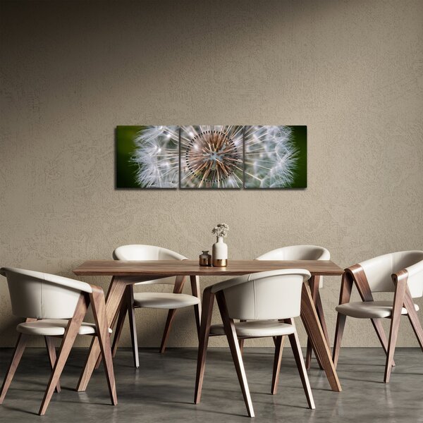 Obraz pampelišky (s hodinami) (90x30 cm)