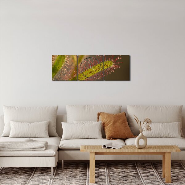 Obraz rostliny (s hodinami) (90x30 cm)