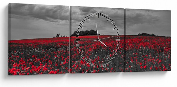 Obraz vlčích máků (s hodinami) (90x30 cm)