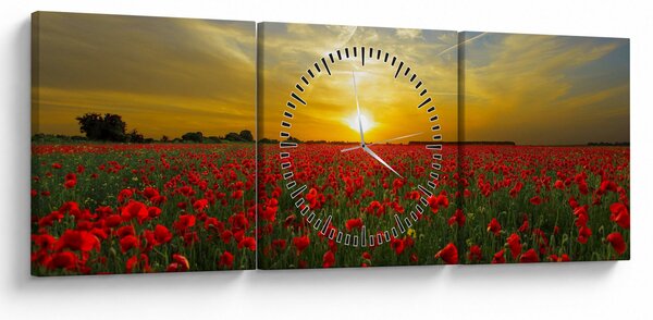 Obraz pole vlčích máků (s hodinami) (90x30 cm)