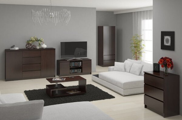 Stolek pod TV RTV 120 2D 1P wenge