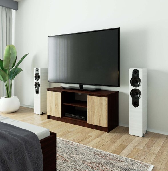 Stolek pod TV RTV 120 2D 1P wenge / sonoma