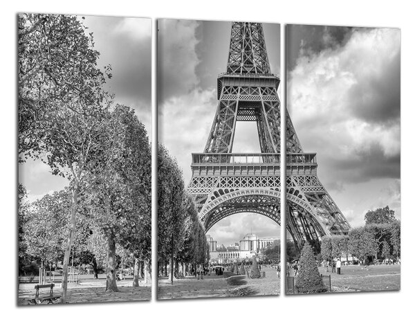 Černobílý obraz na zeď Eiffelovka a park
