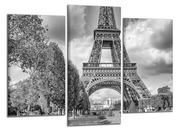 Černobílý obraz na zeď Eiffelovka a park