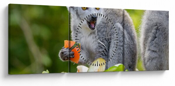 Obraz lemura (s hodinami) (90x30 cm)