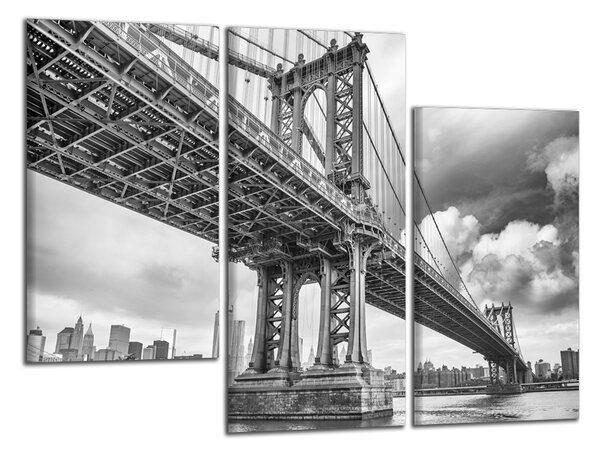Obraz na stěnu Černobílý obraz Most Brooklyn