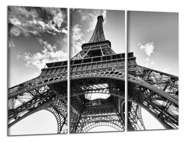 Obraz do bytu Černobílý obraz Eiffelovka