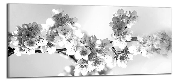 Obraz na plátně Černobílý obraz Květy