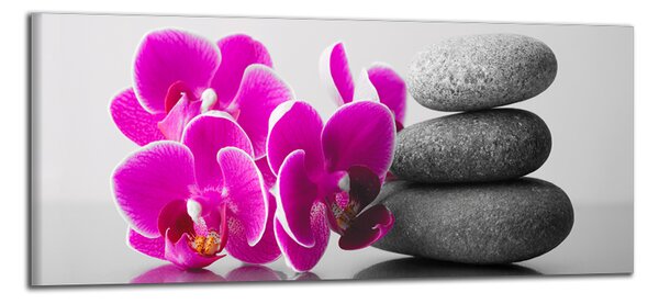 Obraz na plátně Orchideje se zen kameny