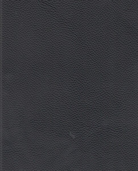 HOUPACÍ ŽIDLE, černá, barvy nerez oceli Novel - Jídelní židle