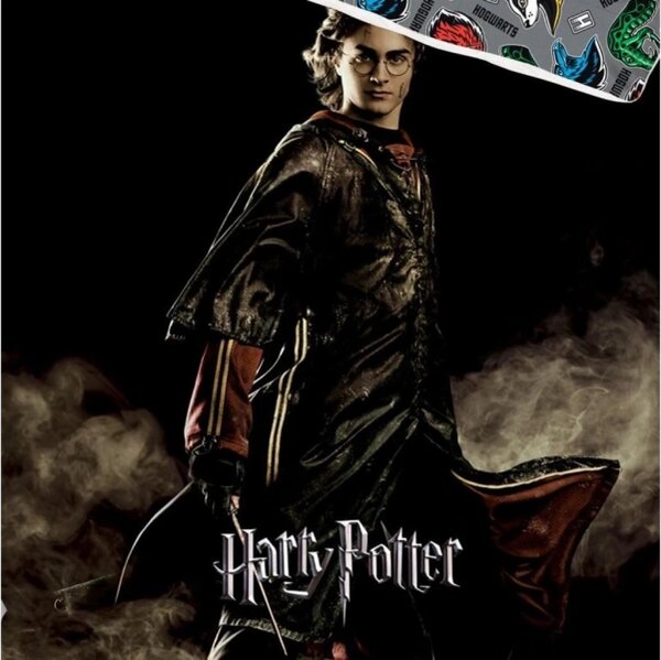 Carbotex Povlečení Harry Potter Ohnivá zkouška 140x200, 70x90 cm