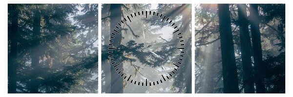 Obraz stromů s průsvitajícím sluncem (s hodinami) (90x30 cm)