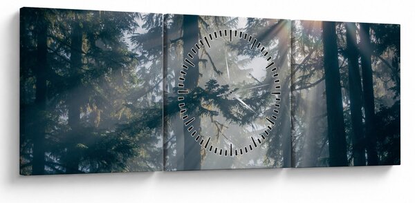 Obraz stromů s průsvitajícím sluncem (s hodinami) (90x30 cm)