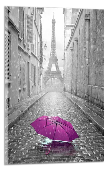 Obraz na plátně Eiffelovka a fialový deštník
