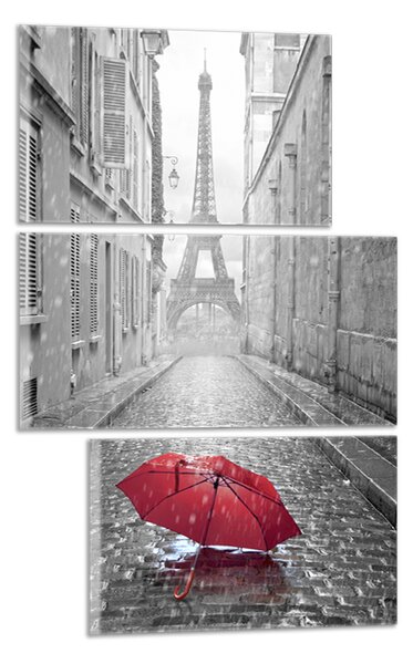 Obraz na plátně Eiffelovka a deštník