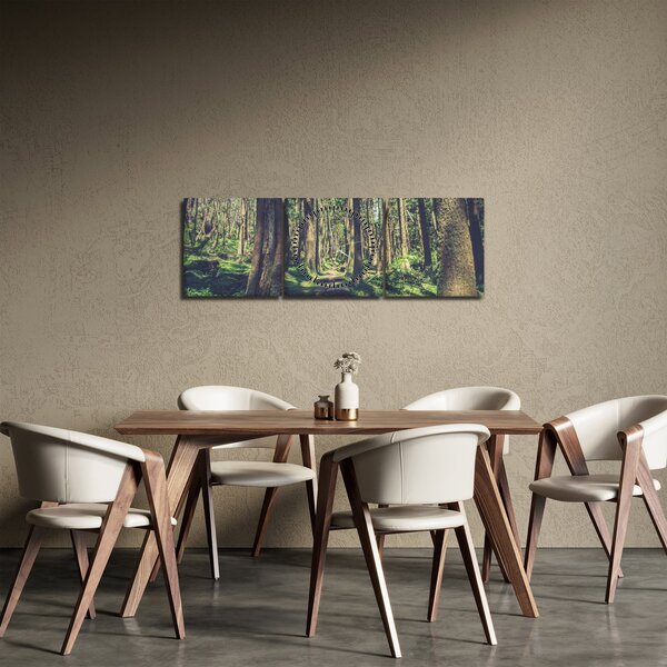 Obraz cesty mezi stromy (s hodinami) (90x30 cm)