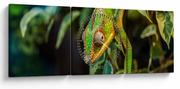 Obraz chameleona (s hodinami) (90x30 cm)