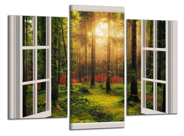 Obraz na stěnu Okno do lesa