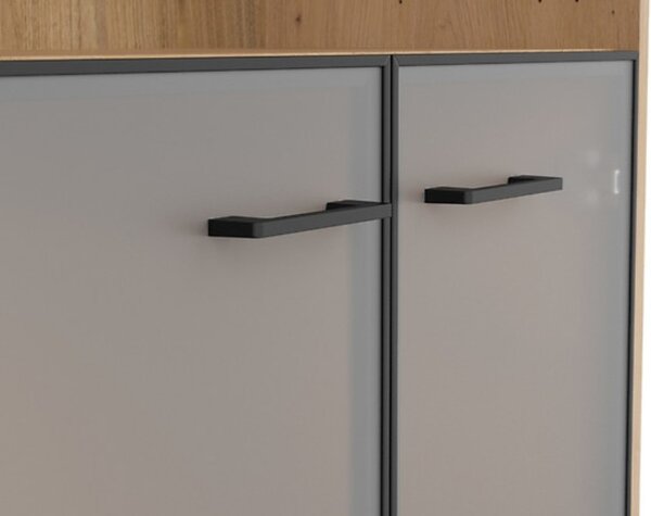 SPACE OFFICE vitrína REG2W/120, dub artisan/černý mat