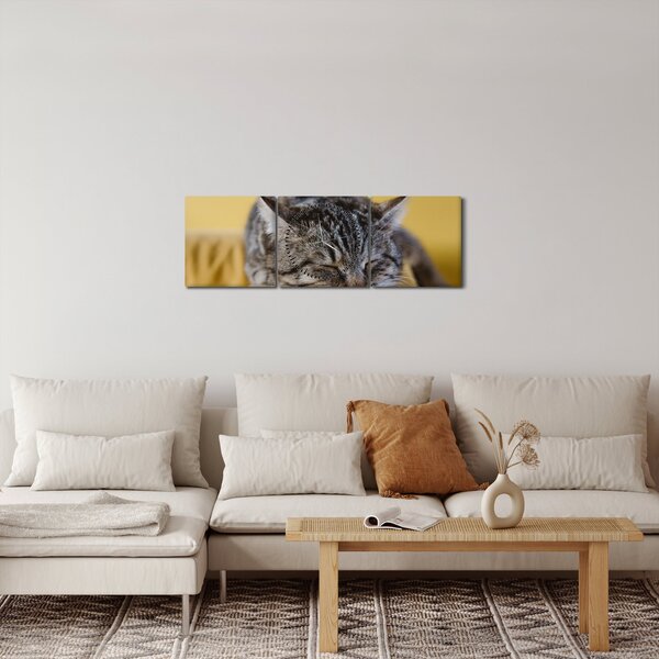 Obraz kočky na pohovce (s hodinami) (90x30 cm)