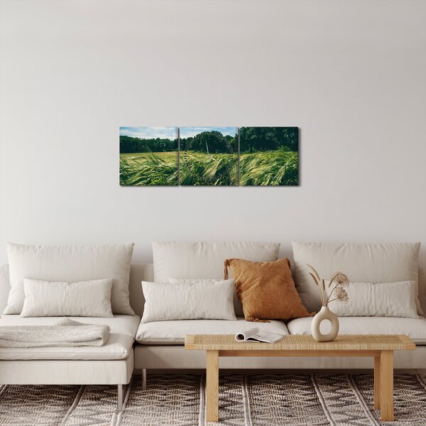 Obraz louky a lesa (s hodinami) (90x30 cm)