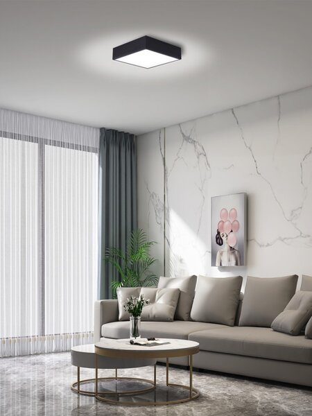 Immax NEO 07237L LED přisazené stropní svítidlo CANTO SLIM | 22W integrovaný LED zdroj | 1610lm | 3000-6000K