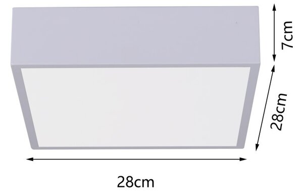 Immax NEO 07238L LED přisazené stropní svítidlo CANTO SLIM | 22W integrovaný LED zdroj | 1610lm | 3000-6000K