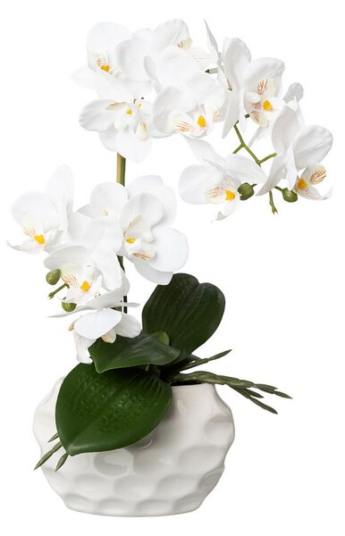 Umělá Orchidej bílá v květináči, 33cm