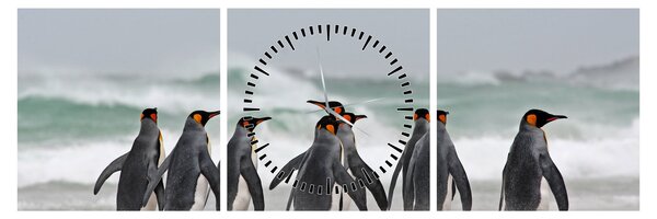 Obraz tučňáků u oceánu (s hodinami) (90x30 cm)