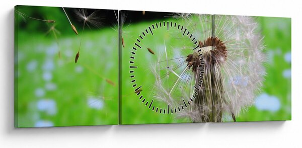 Obraz pampelišky (s hodinami) (90x30 cm)
