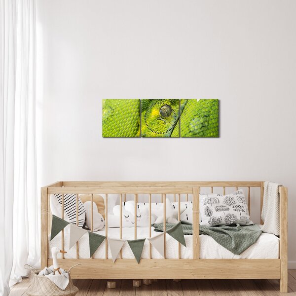 Obraz hada (s hodinami) (90x30 cm)