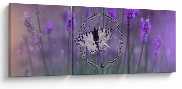 Obraz - Motýl v levandulích (s hodinami) (90x30 cm)