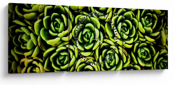 Obraz netřesků (s hodinami) (90x30 cm)