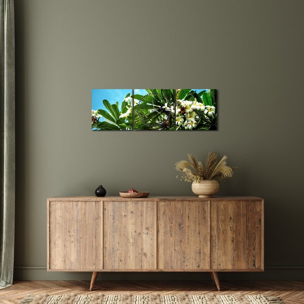 Obraz - Plumerie (s hodinami) (90x30 cm)
