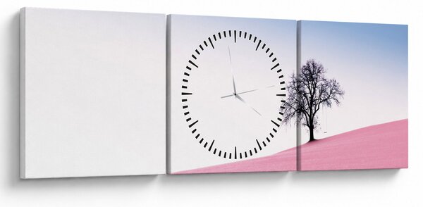 Obraz - Růžový sen (s hodinami) (90x30 cm)