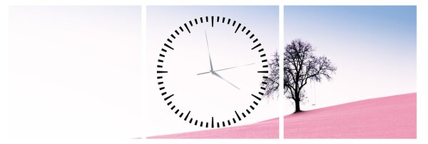 Obraz - Růžový sen (s hodinami) (90x30 cm)