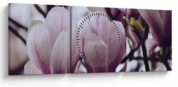 Obraz - Magnolie (s hodinami) (90x30 cm)