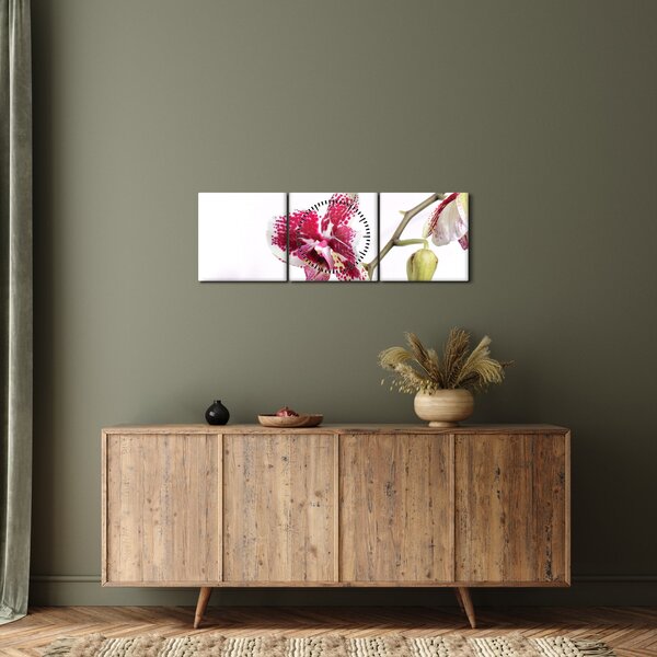 Obraz květu orchideje (s hodinami) (90x30 cm)